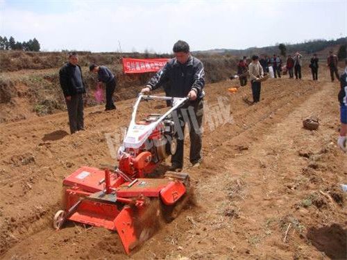 小型筑壟機(jī)